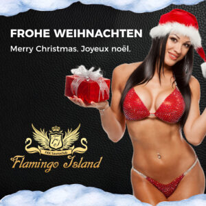 Frohe Weihnachten | FKK Saunaclub Flamingo Karlsruhe